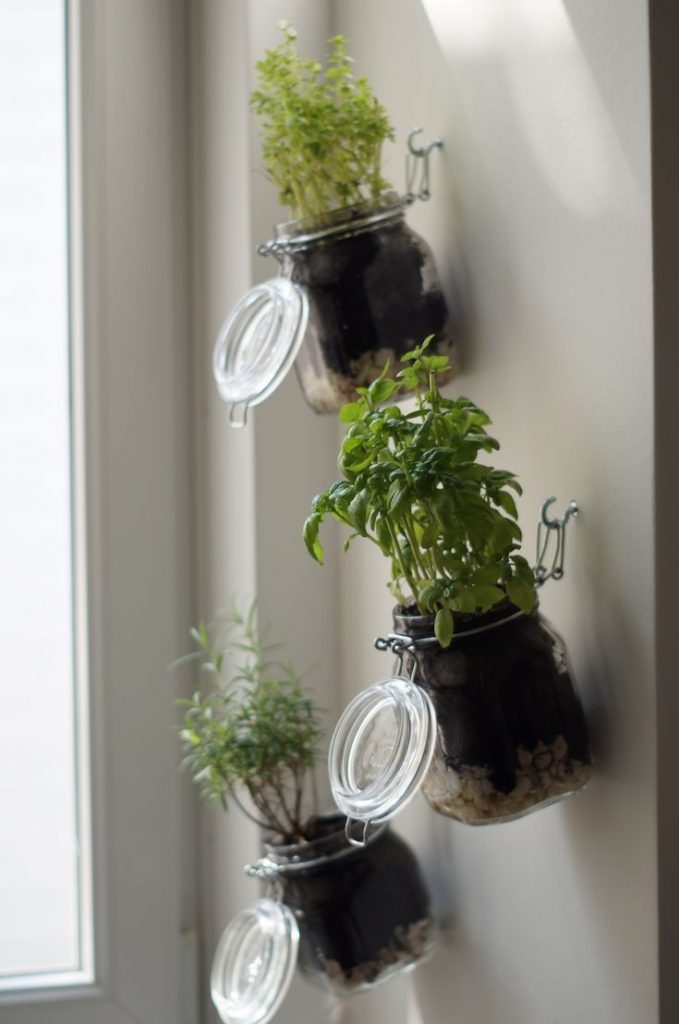 Best Herb Garden Ideas for Small Spaces Glass Jars Herb
