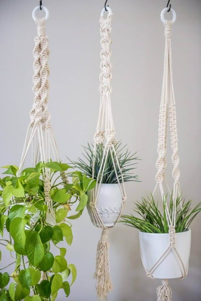 DIY Hanging Planters for Privacy Macrame Knots