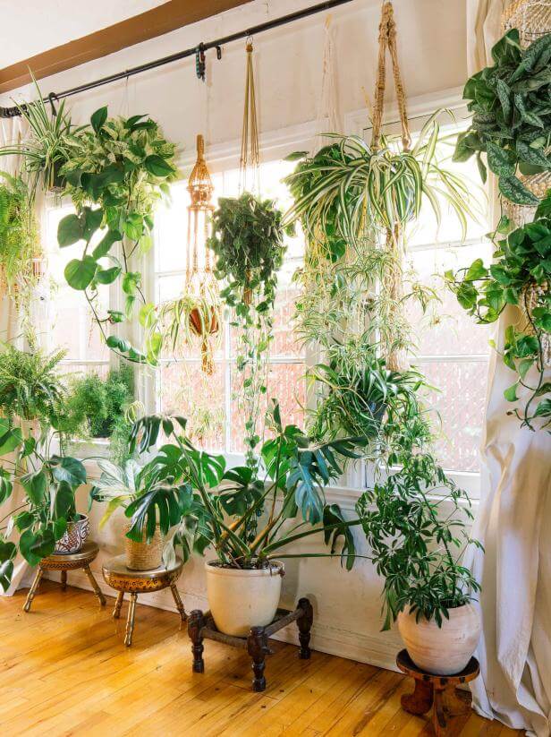 DIY Indoor Fairy Garden Ideas Floating Window Plants