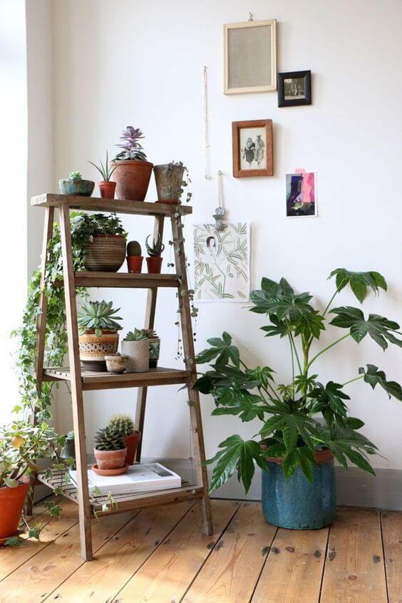 Fabulous Indoor Garden Ideas Simply Natural Garden