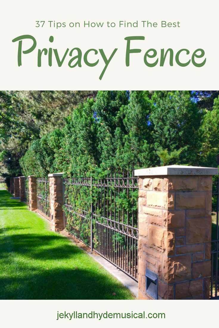 Green Privacy Fence Ideas