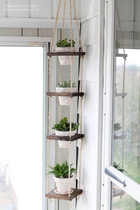 Indoor Cactus Garden Ideas DIY Vertical Hanging Plant