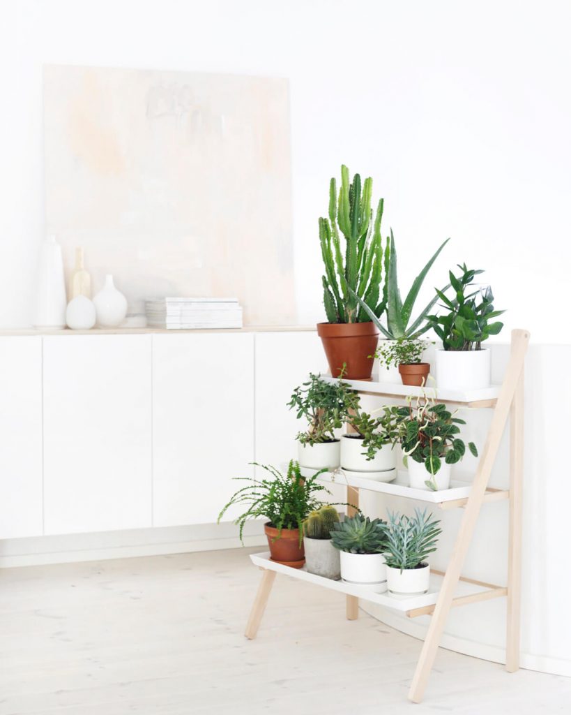 Indoor Garden Ideas for Small Apartments Shelf for Plants White