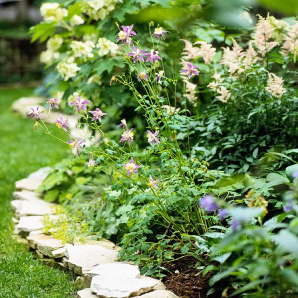 Lawn Edging Ideas for Easy Mowing Layered Stones