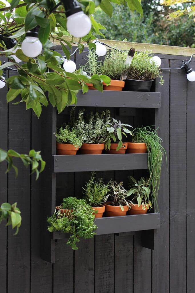 Patio Herb Garden Ideas Shelved Herb Garden