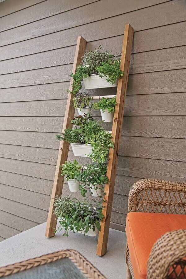 Small Herb Garden Ideas On a Ladder