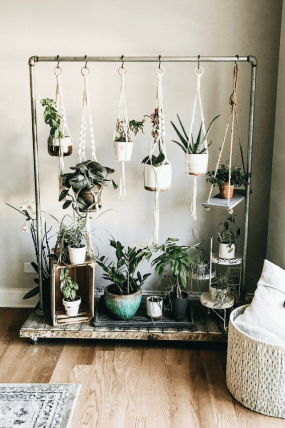 Tiny Indoor Garden Ideas Rack Plant Stand