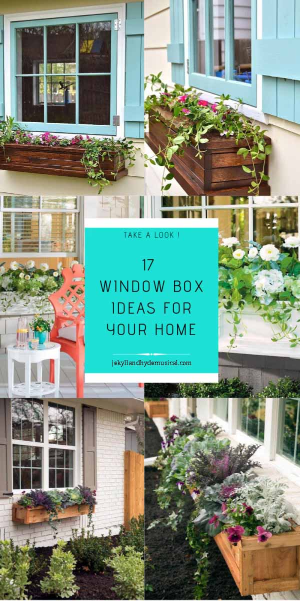 Window Box Ideas