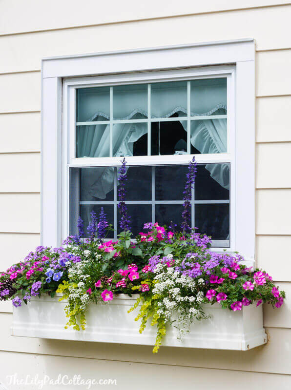 Window Box Planters Ideas Window Box Ideas Gorgeous Floral
