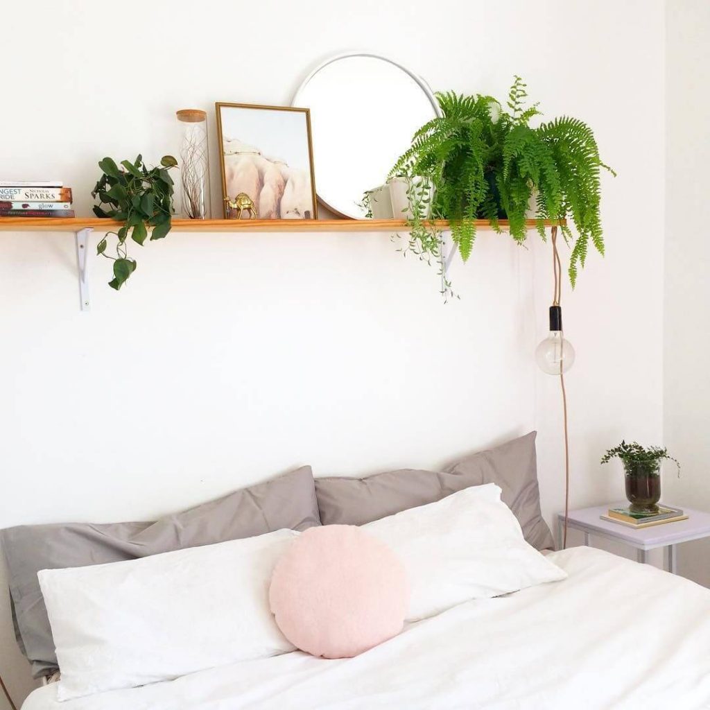 DIY Above Bed Decor Plant Shelf Above Bed