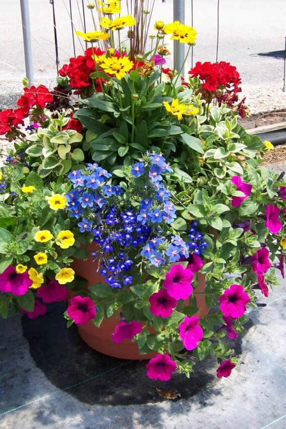 Garden Flower Pot Ideas Hidden Planter