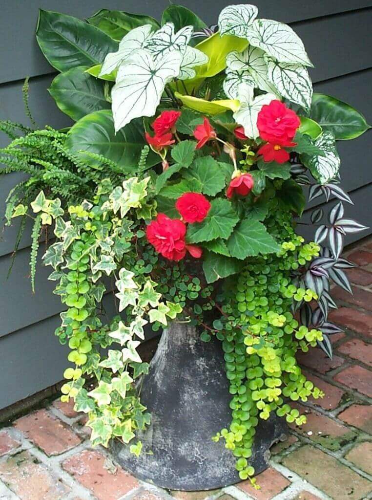 Outdoor Flower Pot Ideas Pinterest Add Style to the Outdoor