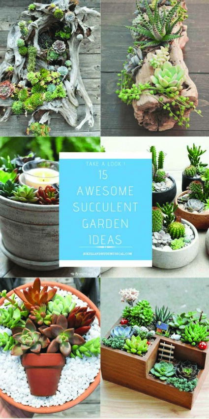 Awesome Succulent Garden Ideas
