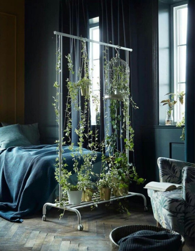 Hanging Room Divider Ideas Vines and Climbers