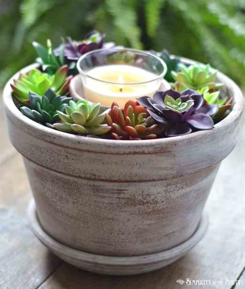Miniature Succulent Garden Ideas Succulents with a Candle